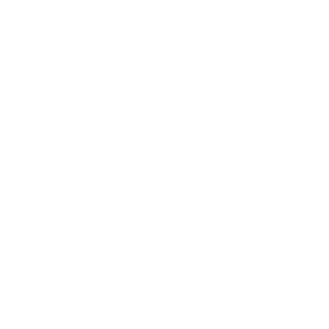 Black & Blum
