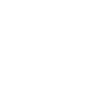 Turkish Airlines